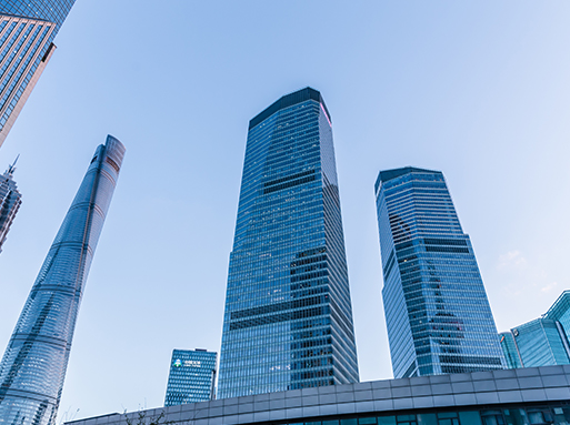  以雄厚的科技（jì）開發力量（liàng）為後盾